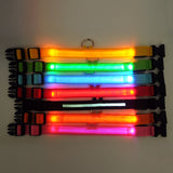 LED Pet Collars - K&J Empire