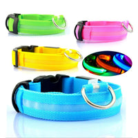 LED Pet Collars - K&J Empire