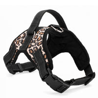 Nylon Heavy Duty Pet Harness - K&J Empire