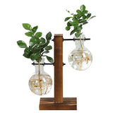 Terrarium Hydroponic Plant Vases - K&J Empire