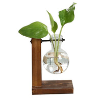 Terrarium Hydroponic Plant Vases - K&J Empire